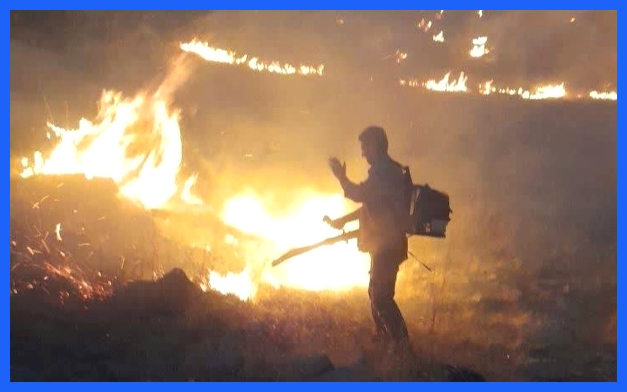 مهار آتش‌سوزی در بیستون کرمانشاه: روایت یک بحران