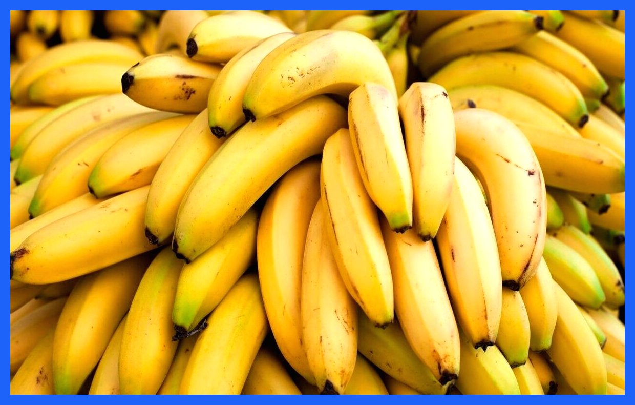 بزرگ‌ترین تولیدکنندگان موز در دنیا و جایگاه ایران در این بازار (اینفوگرافی)