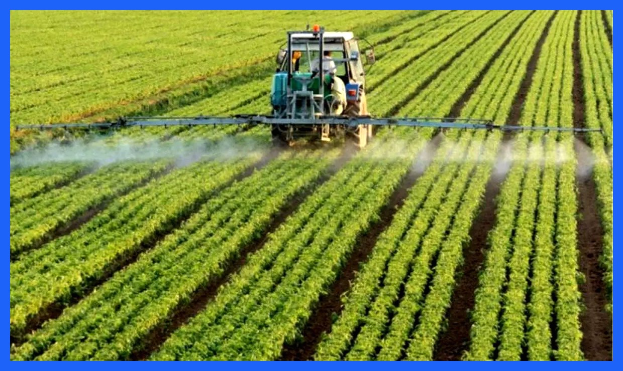 بهبود سه میلیارد دلاری کشاورزی ایران؛ شاهکاری در عرصه تولید