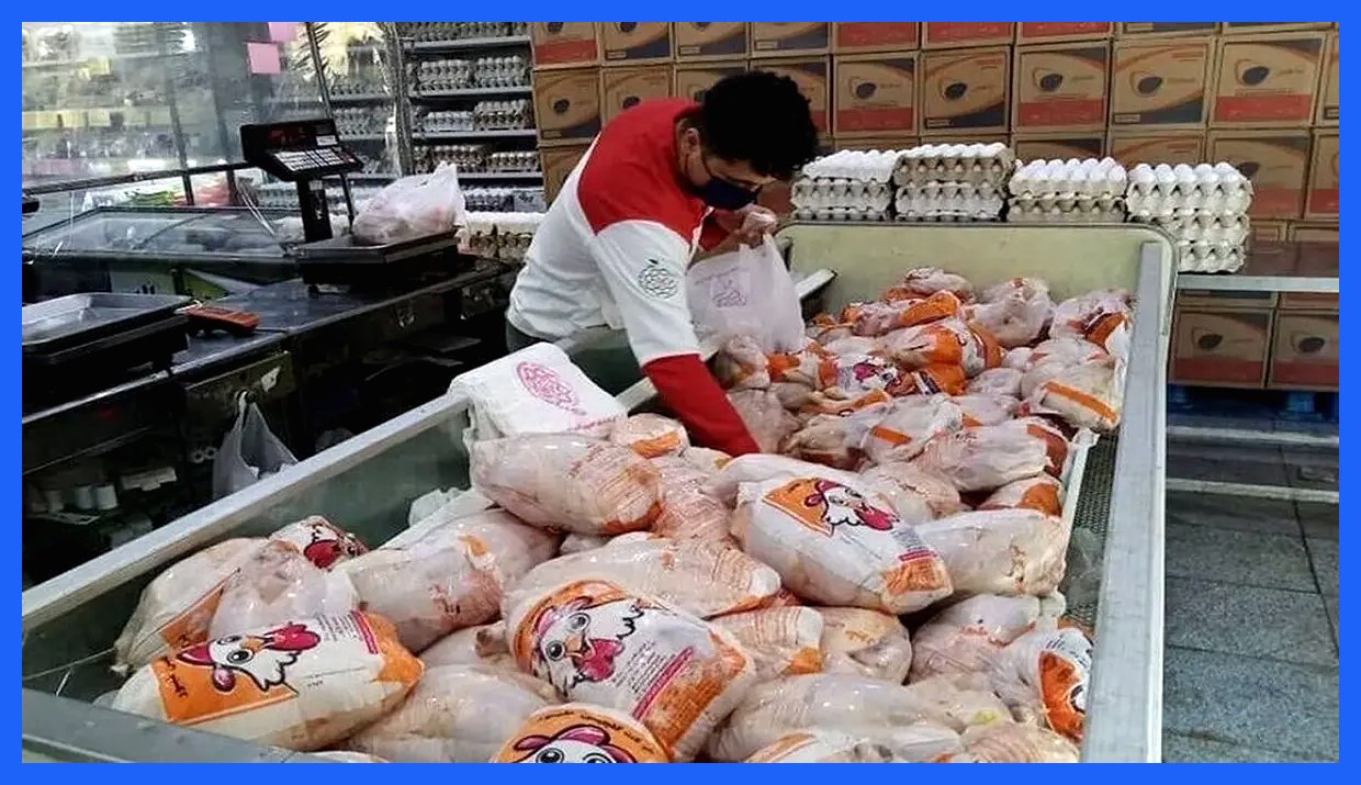 کمبود شدید نهاده‌ها و نگرانی از افزایش قیمت مرغ