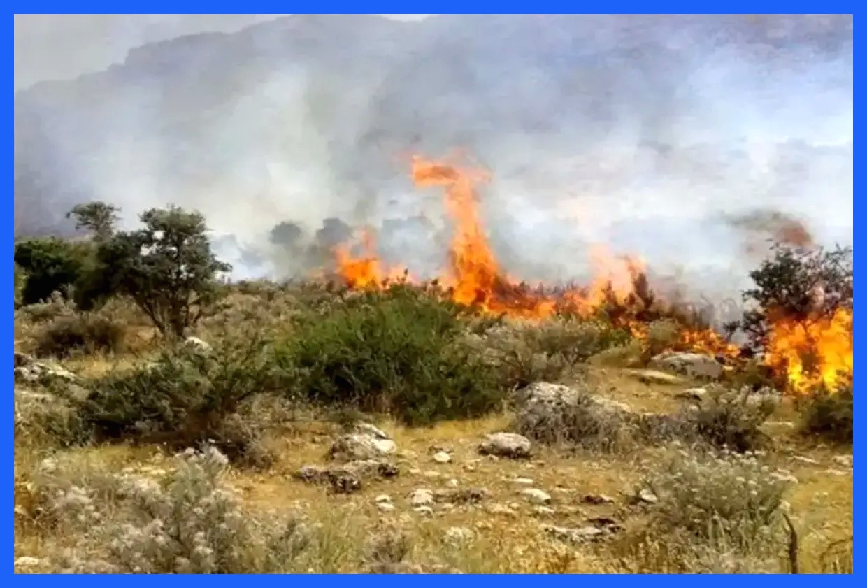 جنگل‌های کارمزد سوادکوه دوباره طعمه آتش شدند