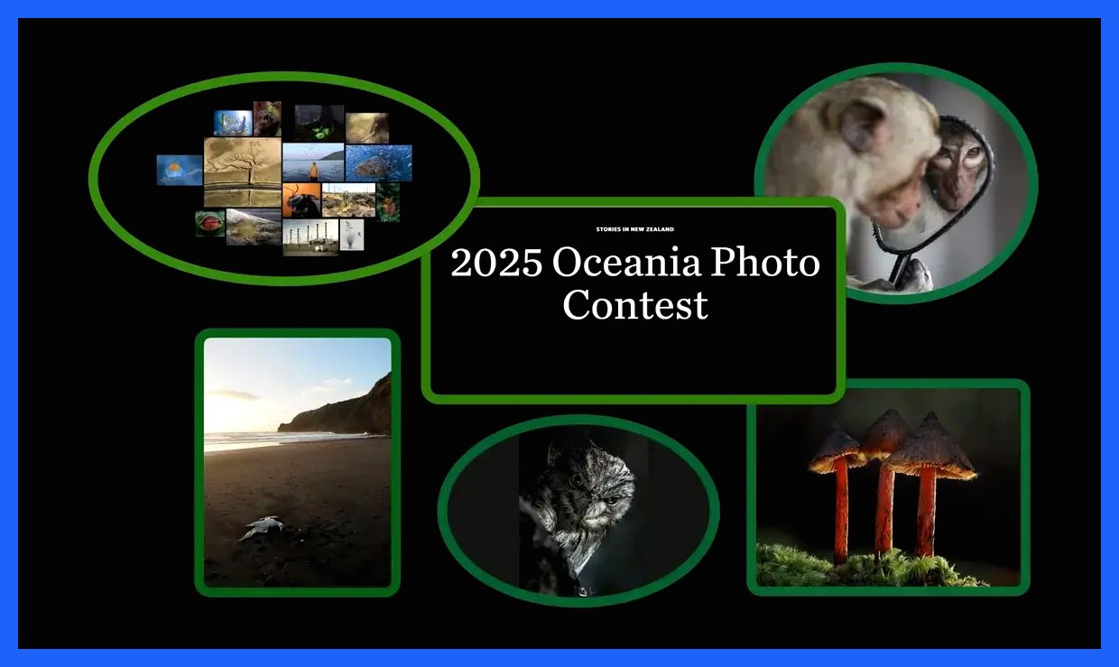 سوژه‌های شگفت‌انگیز عکاسان و پیام‌هایی برای نجات زمین/ معرفی برندگان (+عکس)