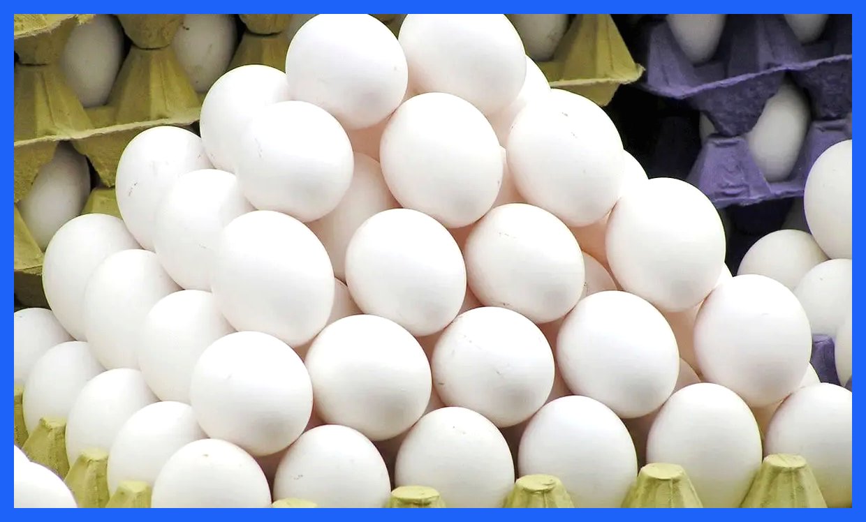 تخم مرغ به محصولی لاکچری تبدیل شد + قیمت