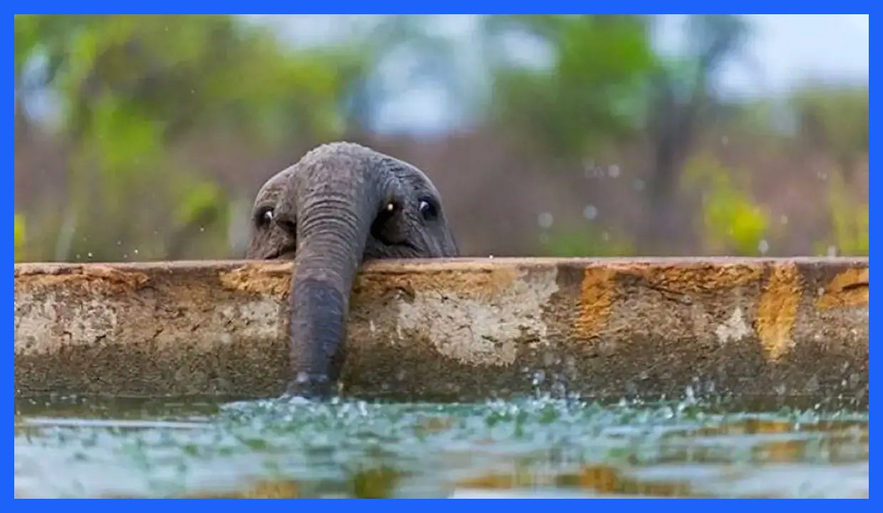 بدون شرح! (تصویری)