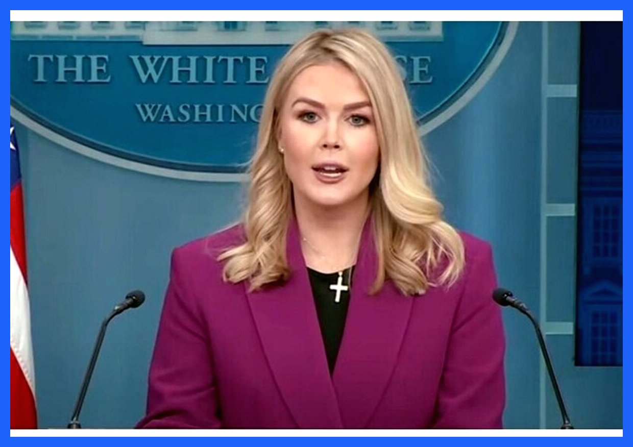 کاخ سفید: پناهجویان افغان که تهدید امنیتی باشند، اخراج می‌شوند