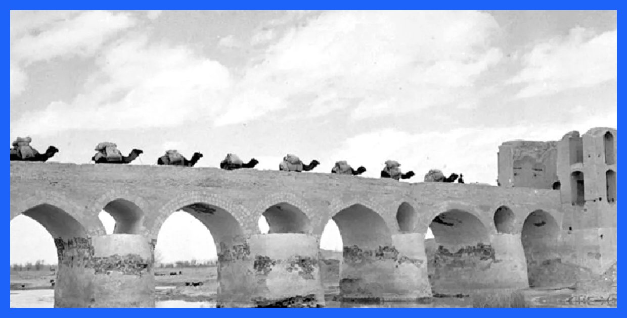 کاروان شتر بر فراز پل تاریخی؛ تصاویر بی‌نظیر از زاینده‌رود