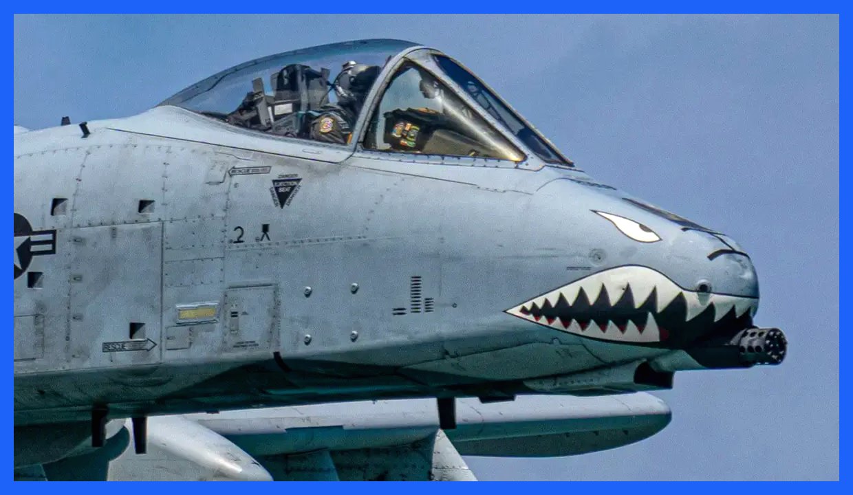 عکس‌های منحصر به فرد از هواپیمای نظامی گراز زگیل‌دار