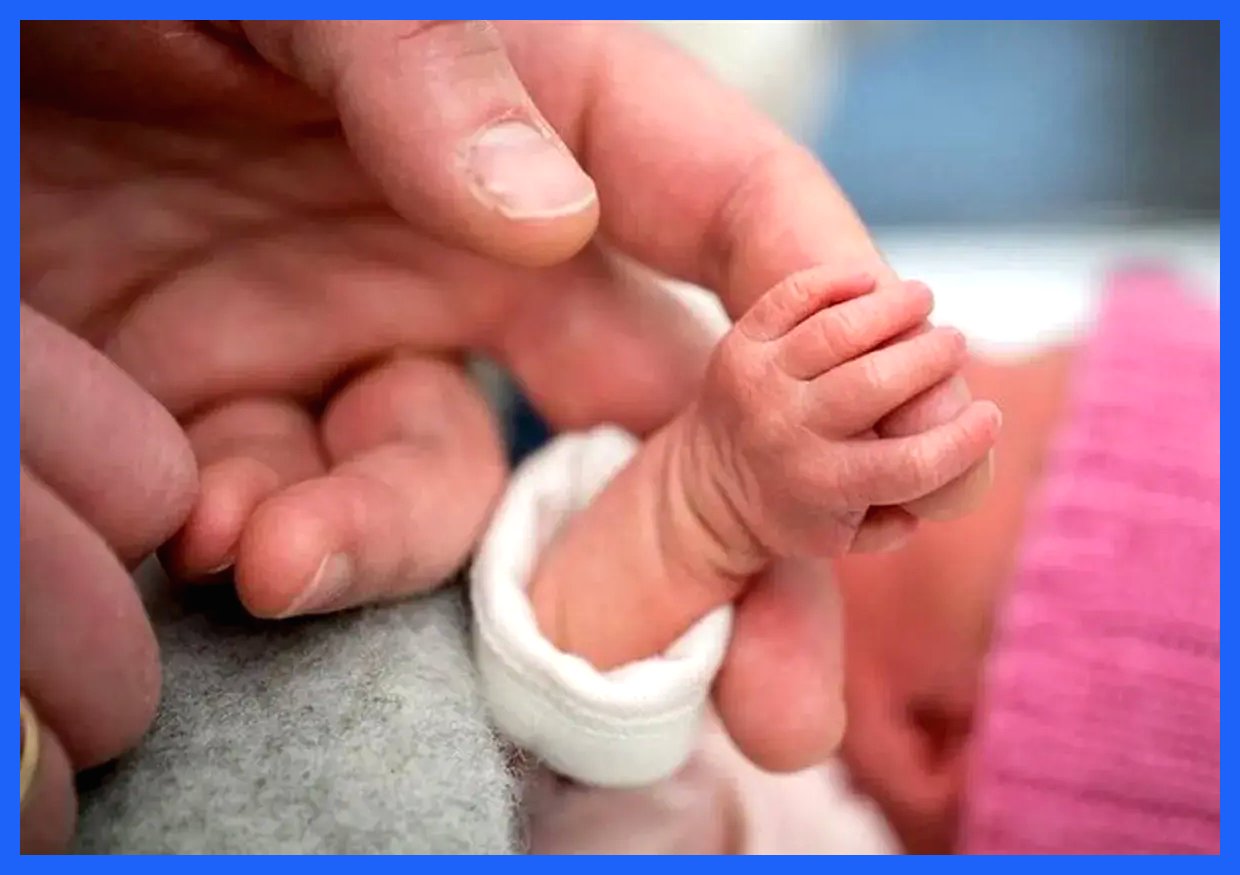 نرخ باروری در گیلان و مازندران به پایین‌ترین سطح تاریخ رسید