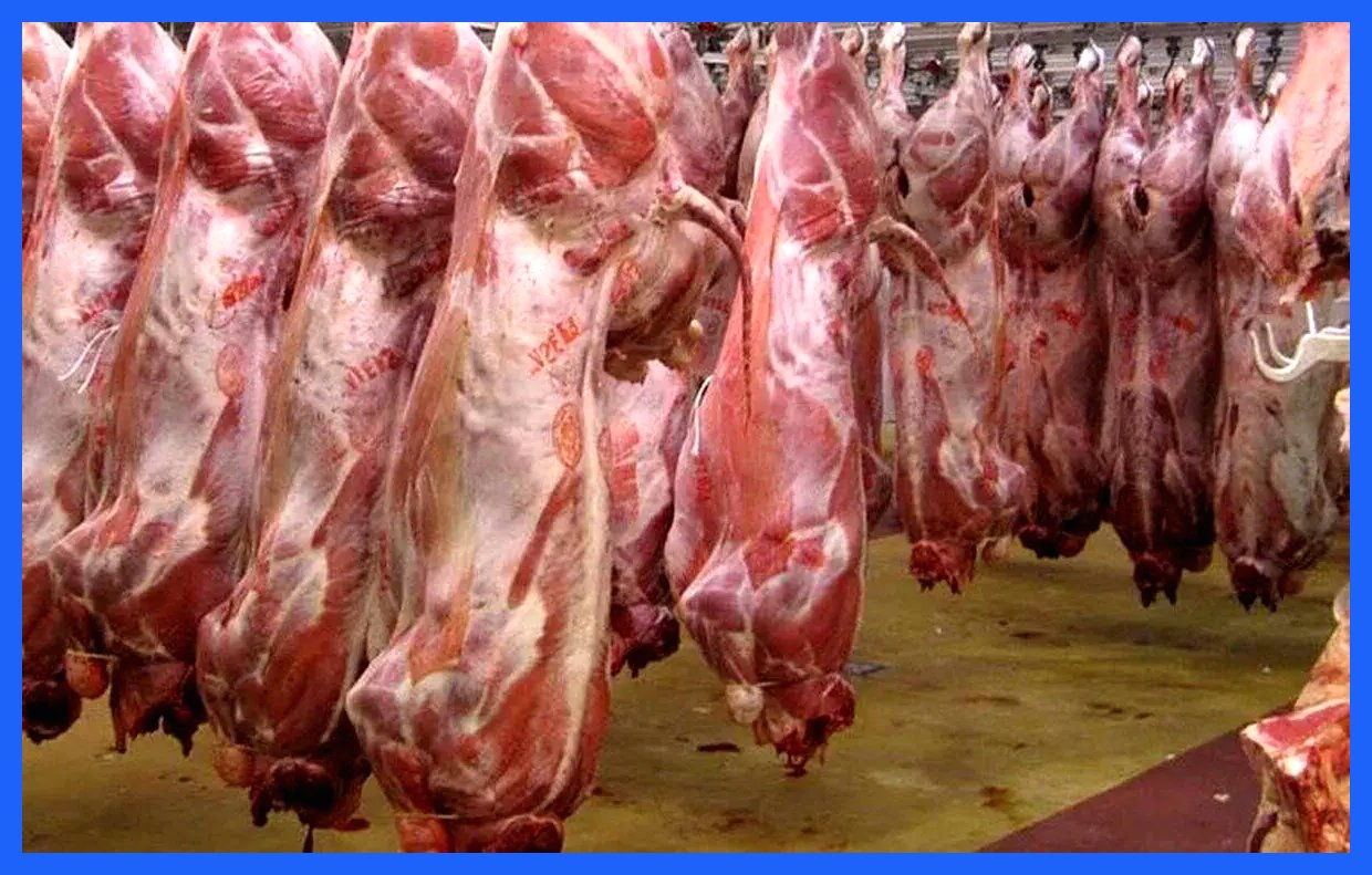 نرخ روز گوشت قرمز در ۲۰ آذر ۱۴۰۴ + جدول قیمت‌ها