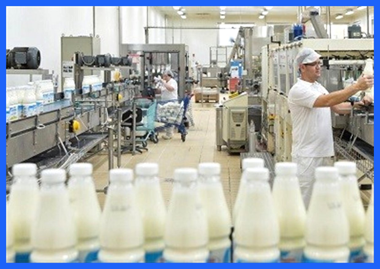 دولت در پی کاهش قیمت لبنیات؛ هشدار جدی به صنایع لبنی