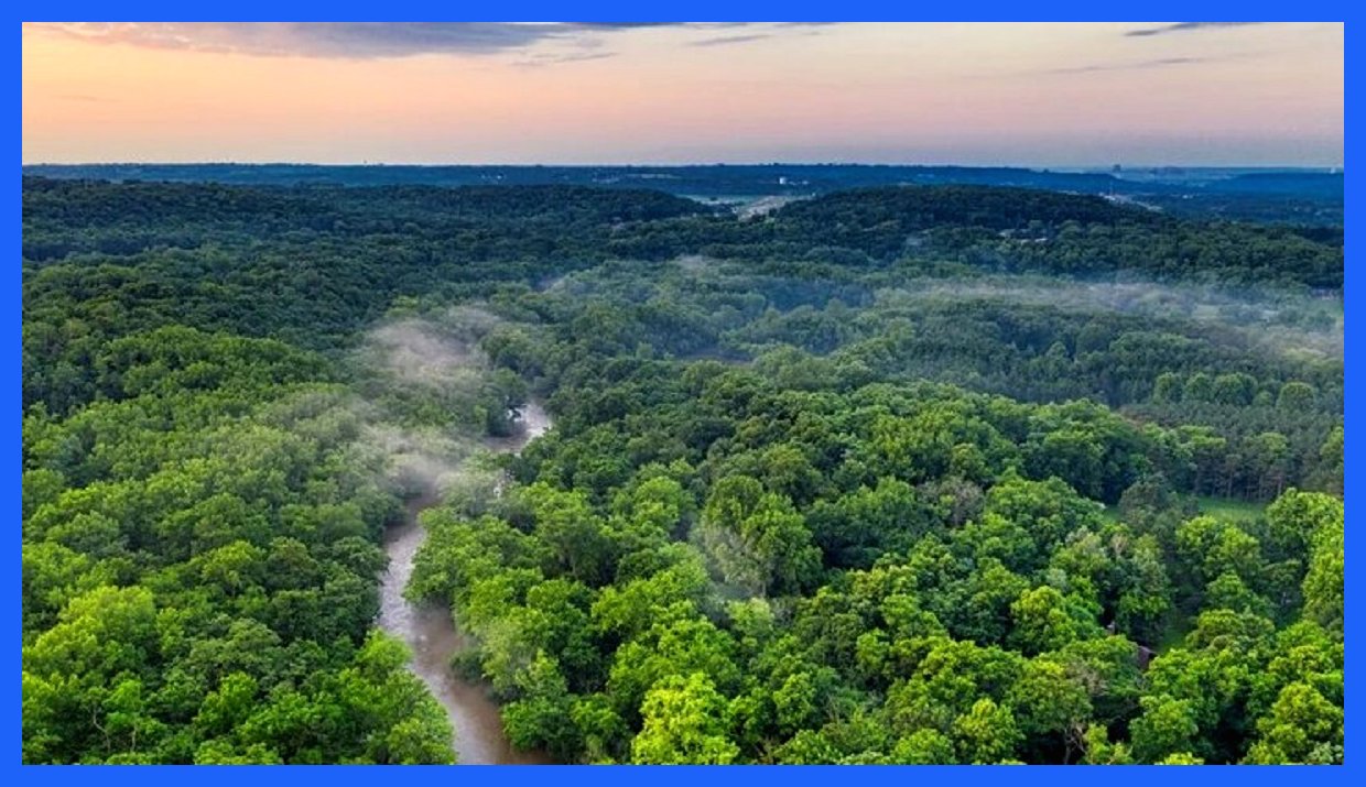 سفری به بهشت جنگلی؛ کشف زیبایی‌های سبز زمین (+عکس)