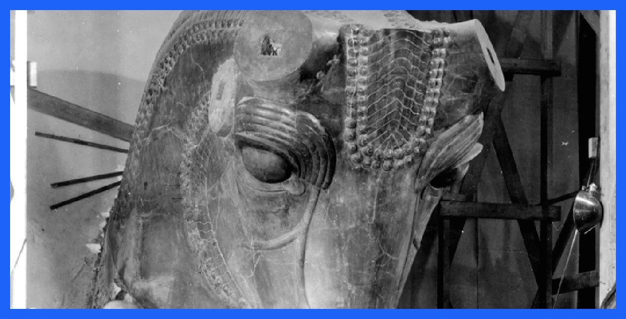 گاو سنگی هخامنشی؛ از تخت‌جمشید تا شیکاگو، داستانی شگفت‌انگیز! (عکس)