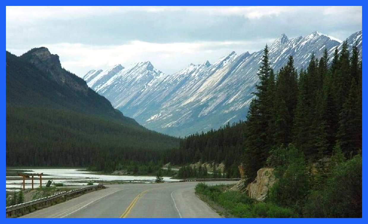 پارک یخ‌زده؛ گنجینه طبیعی و آزمایشگاهی برای آینده زمین (+عکس)