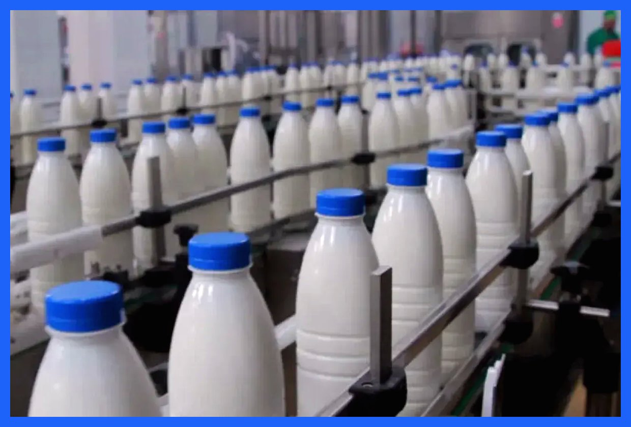 کاهش قیمت لبنیات با تصویب نرخ جدید شیرخام