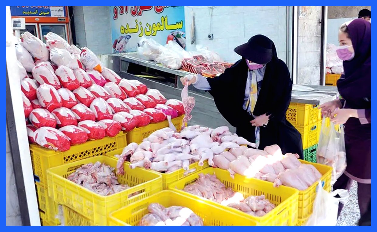 مرغ ارزان به بازار می‌رسد؛ طرح جدید برای حمایت از مردم!