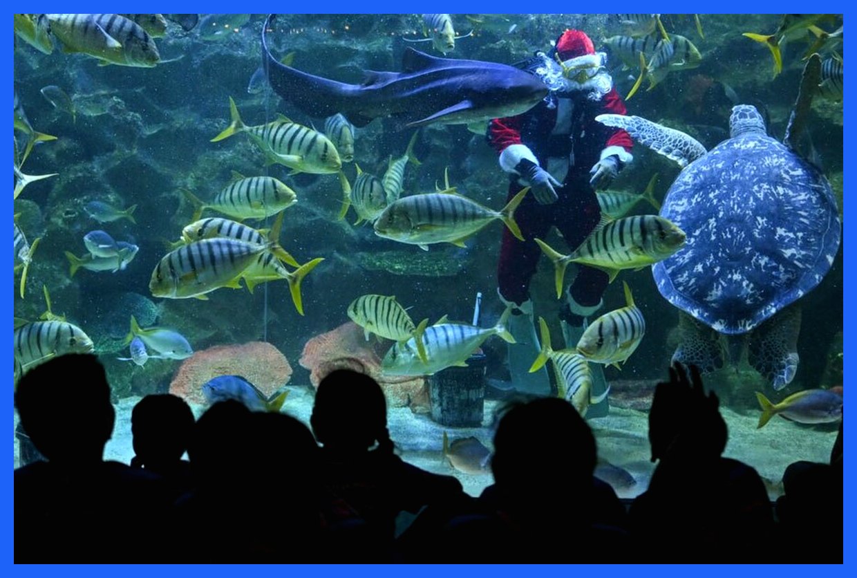 نکات جالب امروز؛ از انتشار تصاویر جدید "جفری اپستین" تا پیام تسلیت رهبر کره شمالی