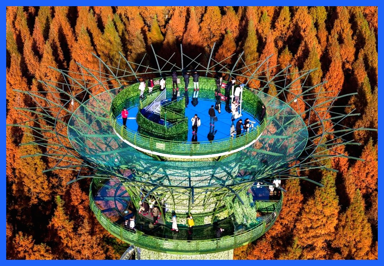 جذاب‌ترین رخدادهای امروز؛ از آخرین اَبَرماه 2025 تا اخراج مهاجران در آمریکا