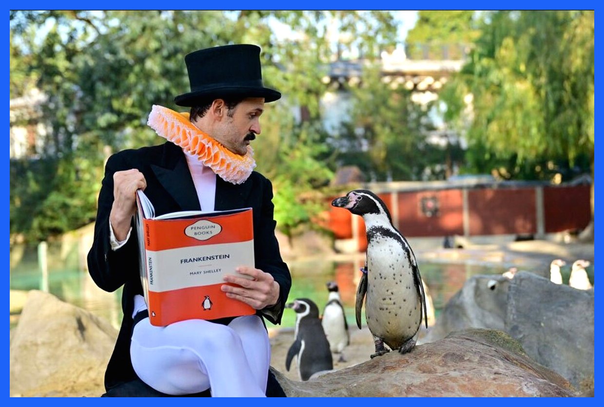 جاذبه‌های روز: از آتش‌سوزی برج‌های مسکونی در هنگ‌کنگ تا کتاب‌خوانی برای پنگوئن‌ها