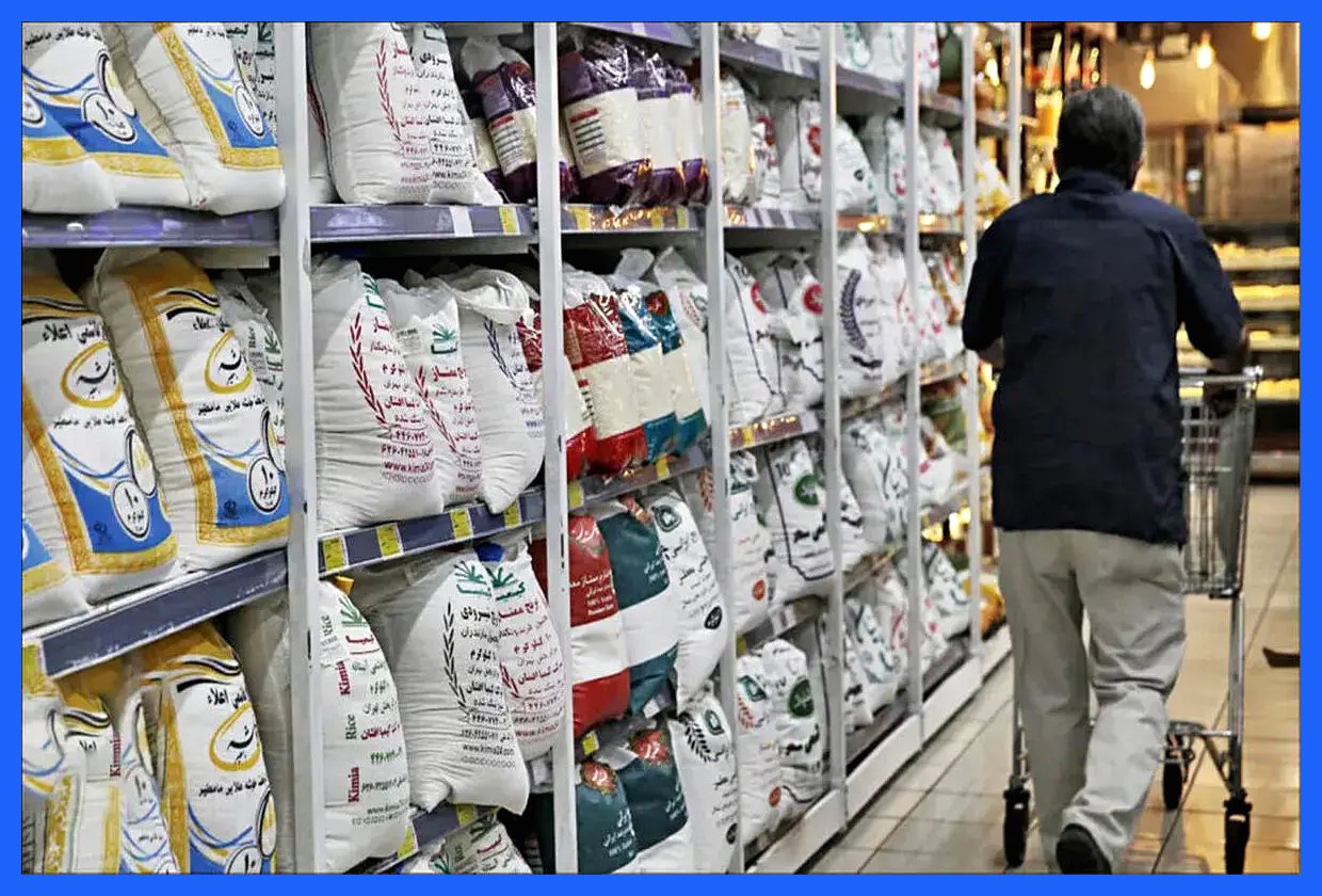 برنج در مسیر افزایش سه‌برابری قیمت!