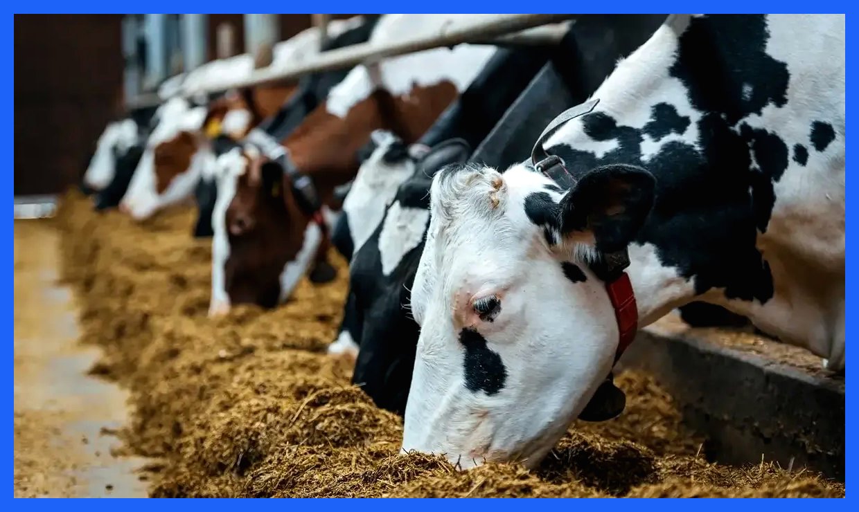 عضو کمیسیون کشاورزی مجلس: مشکلی در تأمین نهاده‌ها تا عید نوروز نداریم