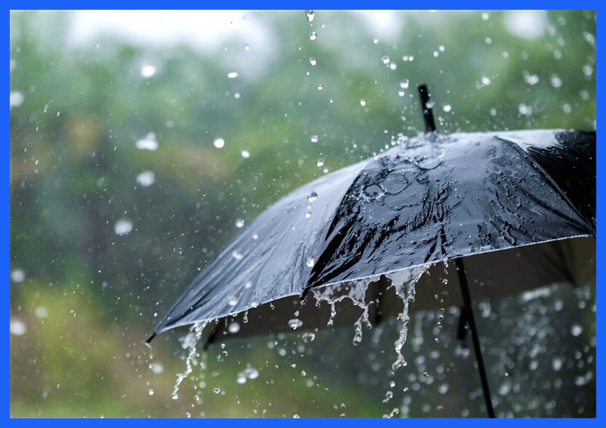 بارش سنگین باران در استانبول، زندگی روزمره را دچار اختلال کرد