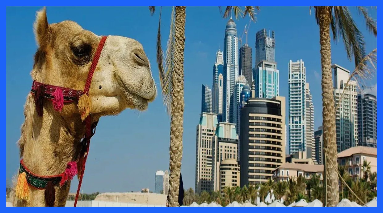 نگاهی جامع به اقتصاد امارات + اینفوگرافی