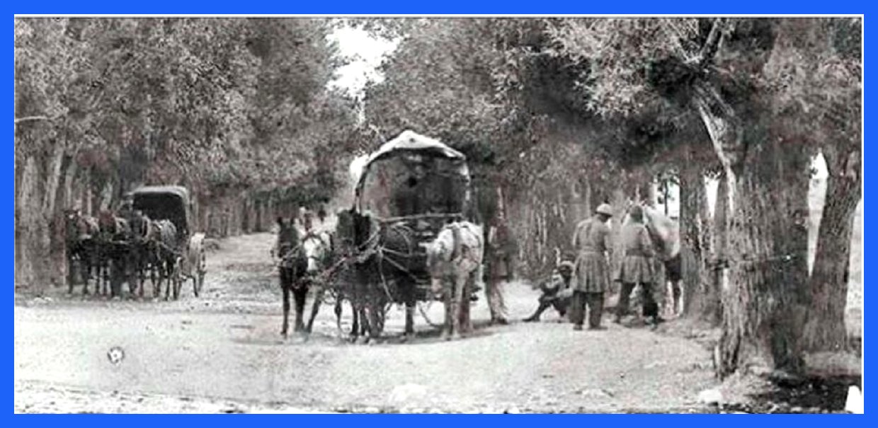 تصویری از رهگذران جاده شمیران در سال ۱۲۸۷