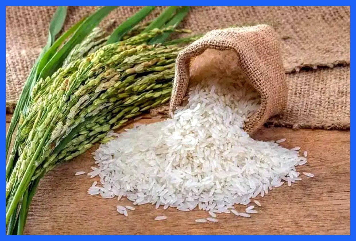 برنج تنظیم بازار هنوز به قفسه‌های فروشگاه‌های زنجیره‌ای نرسیده است