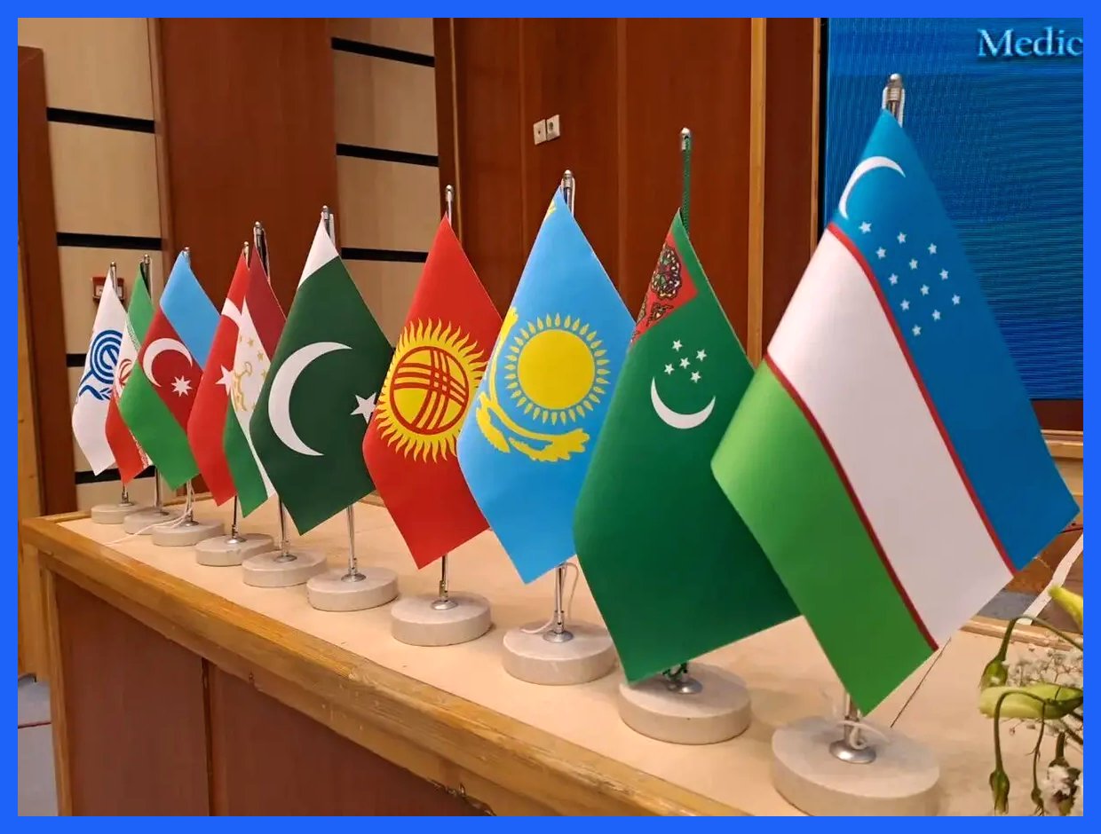 وزیر صمت به اجلاس وزیران اکو در استانبول برای تقویت همکاری‌های اقتصادی سفر کرد