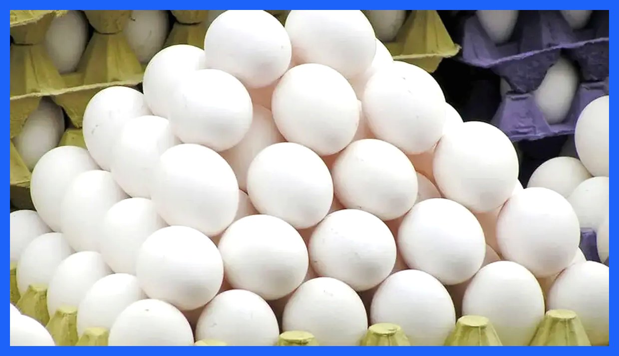 قیمت تخم‌مرغ به ۲۵۰ هزار تومان رسید!