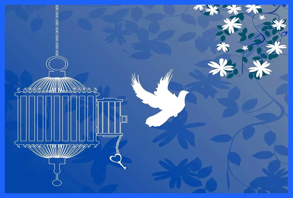 آزادی تمامی مادران زندانی جرائم غیرعمد با حمایت بانک پارسیان