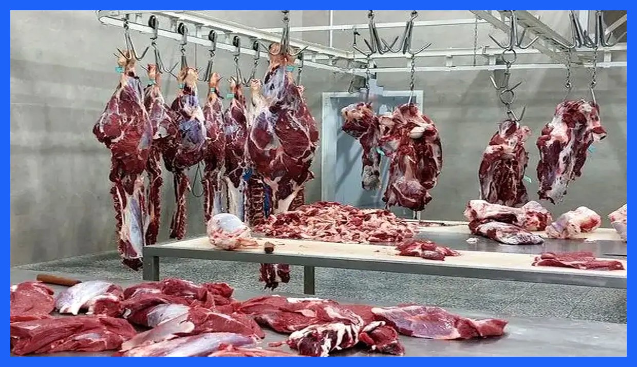 قیمت انواع گوشت گوساله و گوسفندی وارداتی و آزاد داخلی اعلام شد