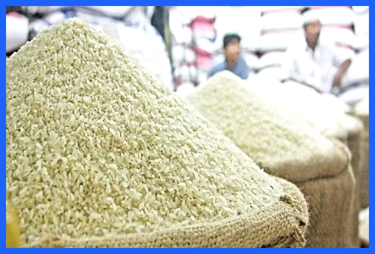 ورود برنج هندی و پاکستانی؛ آیا قیمت‌ها کاهش می‌یابد؟