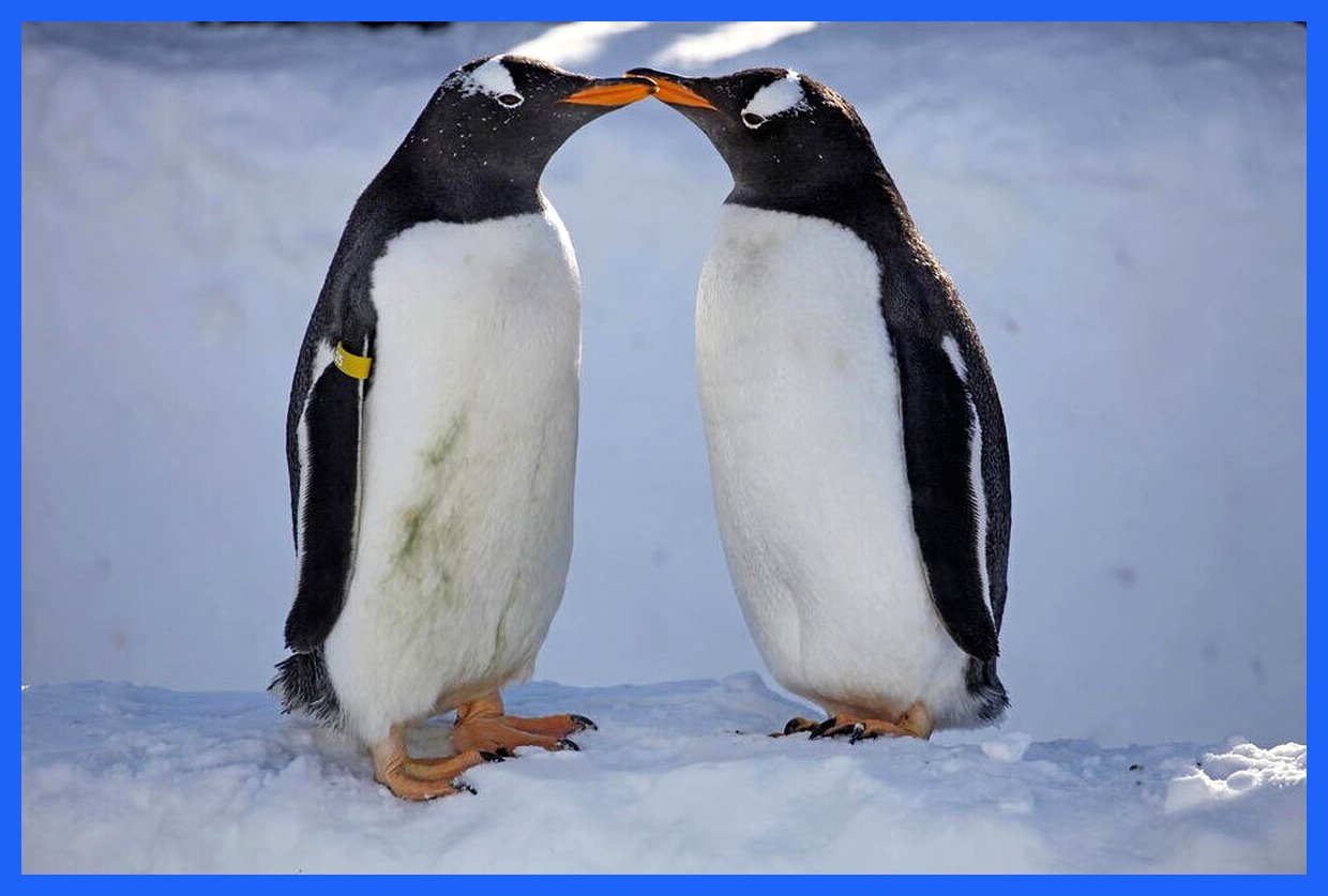 جاذبه‌های امروز: جشنواره شگفت‌انگیز سازه‌های برفی هاربین و سرمای بی‌سابقه منفی ۴۷ درجه در روسیه