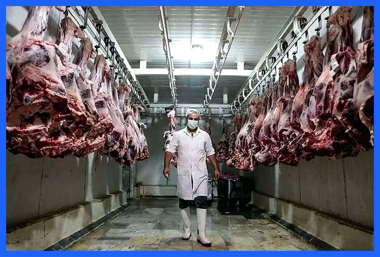 قیمت گوشت امروز ۱۰ آذر ۱۴۰۴ + جدول