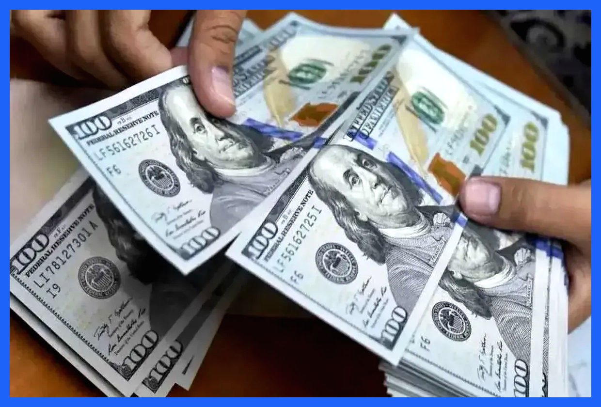 تحول بزرگ در بانک مرکزی: آغاز پیش‌فروش ارز صادراتی