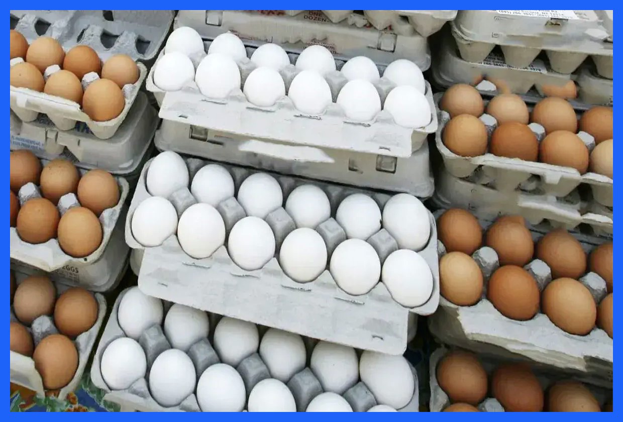 رشد چشمگیر قیمت تخم‌مرغ در بازار