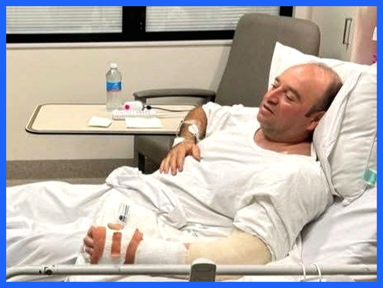 به گزارش آگاهنا، میوه‌فروشی مسلمان به عنوان قهرمان فداکار حمله یکشنبه در استرالیا شناخته شد. این فرد با اقدام شجاعانه خود، جان تعدادی از مردم را در شرایط بحرانی نجات داد و به عنوان نمادی از ایثار و فداکاری در جامعه مطرح گردید. این واقعه نشان‌دهنده