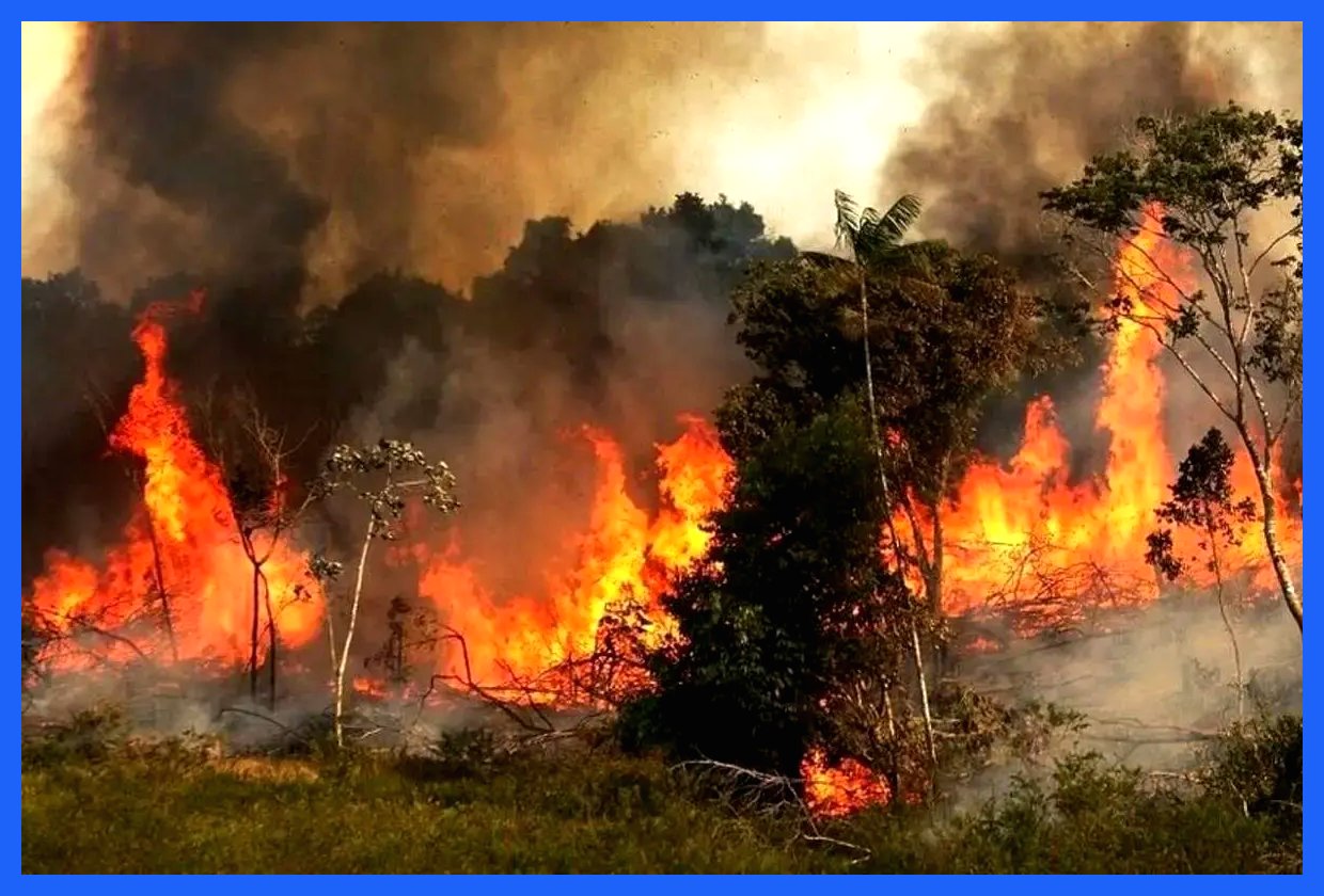 آتش‌سوزی دوباره جنگل‌های دیزمار در آذربایجان شرقی