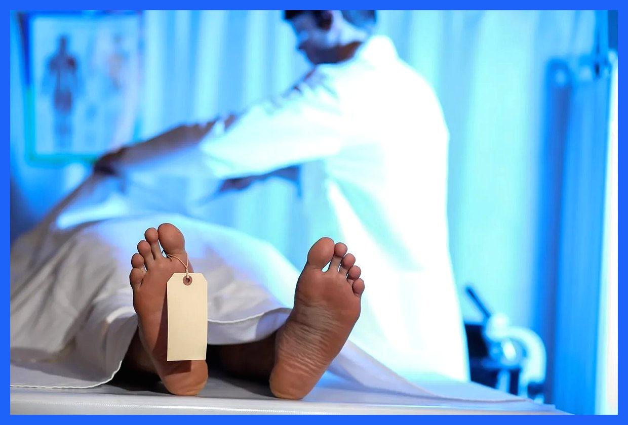 تحولی شگفت‌انگیز: تبدیل بقایای اجساد به محصولاتی غیرمنتظره در آمریکا