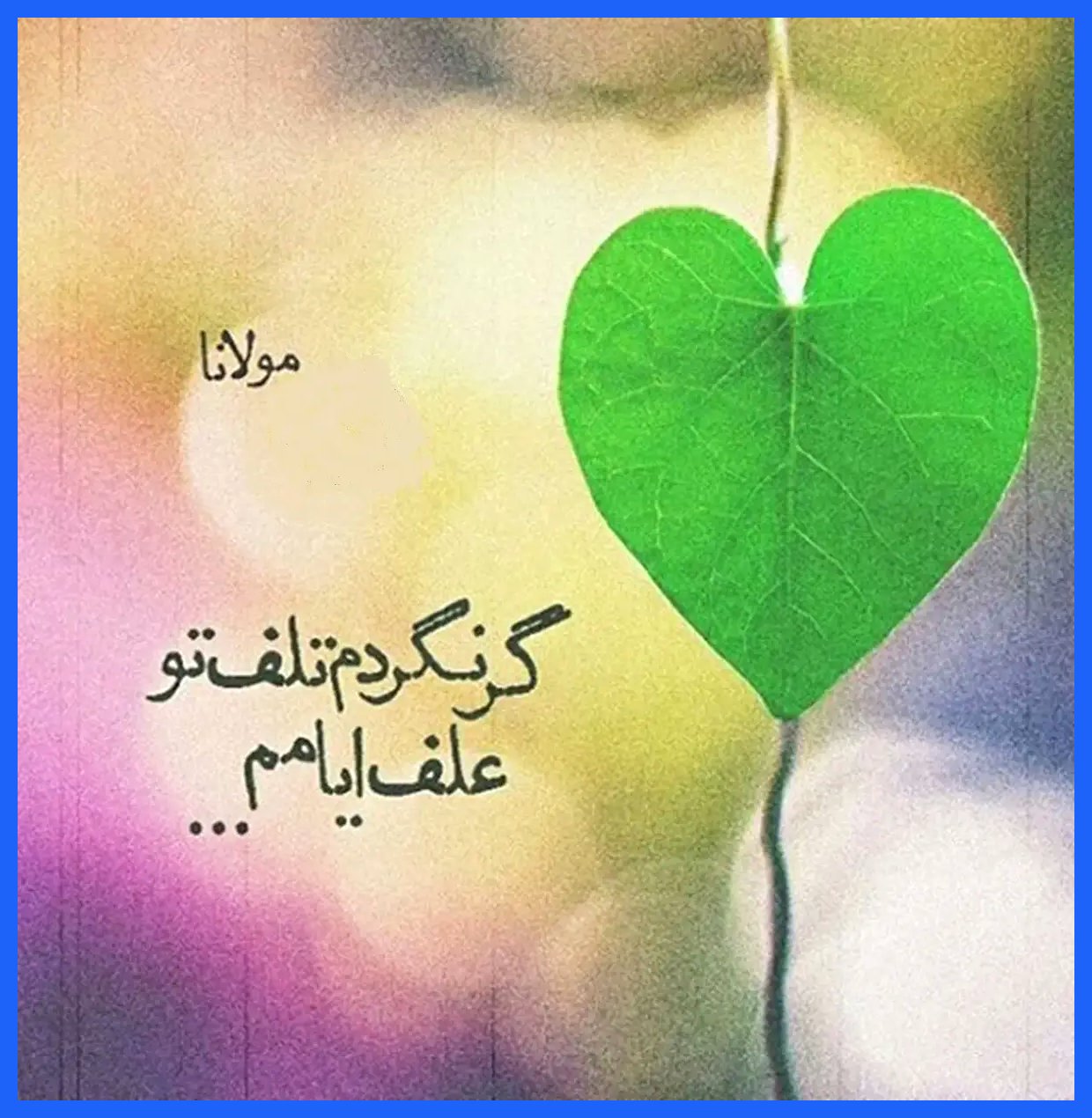 امروز با مولوی: گر نگردم تلفِ تو علف ایامم