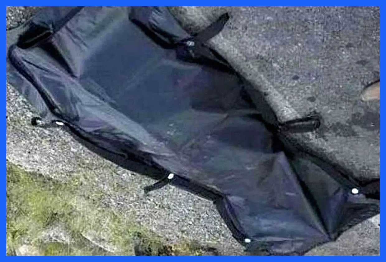 جسد نوجوان ۱۴ ساله در باغ‌های نهاوند پیدا شد