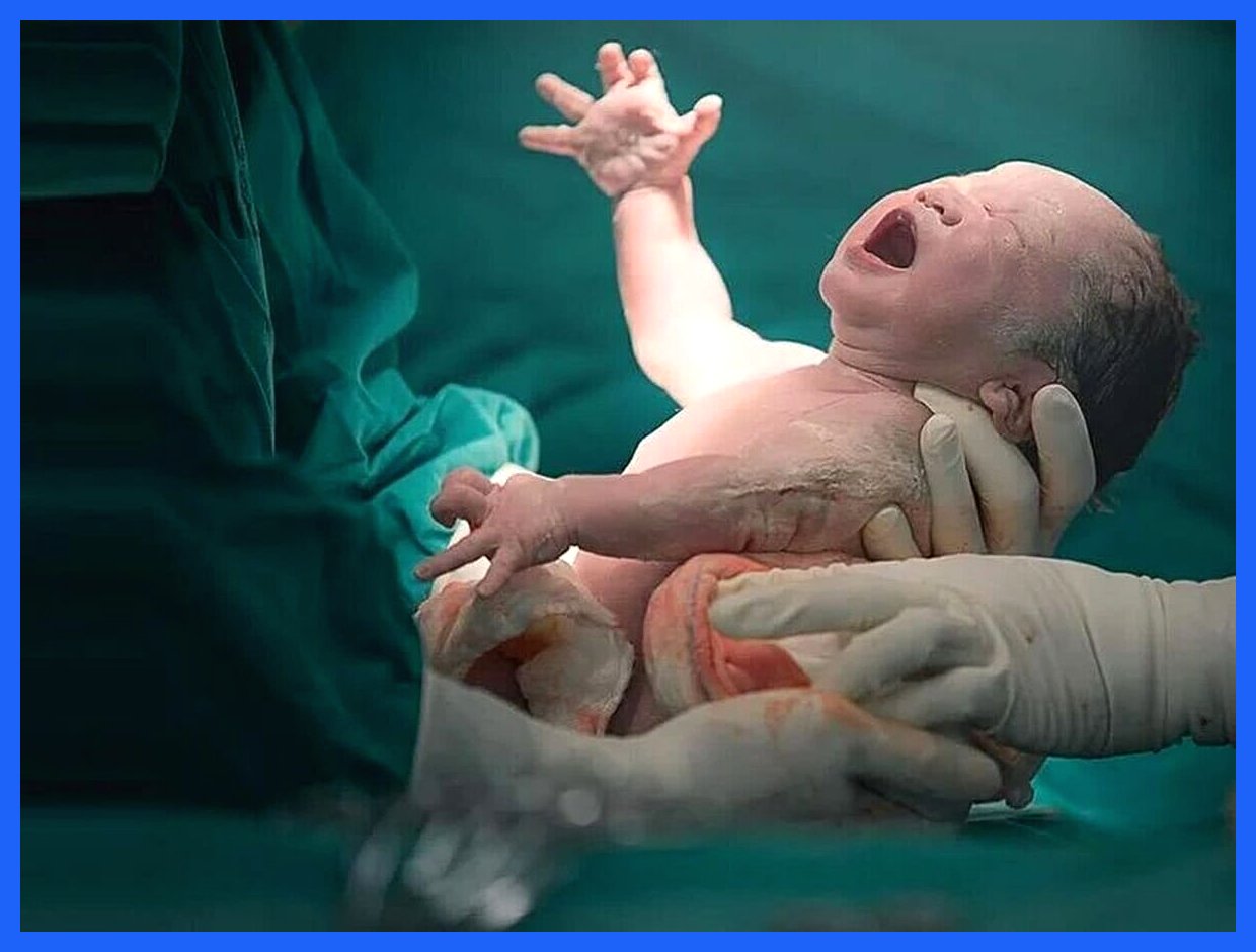 استفاده از مشاوران ژنتیک پزشکی قانونی برای پیشگیری از سقط جنین