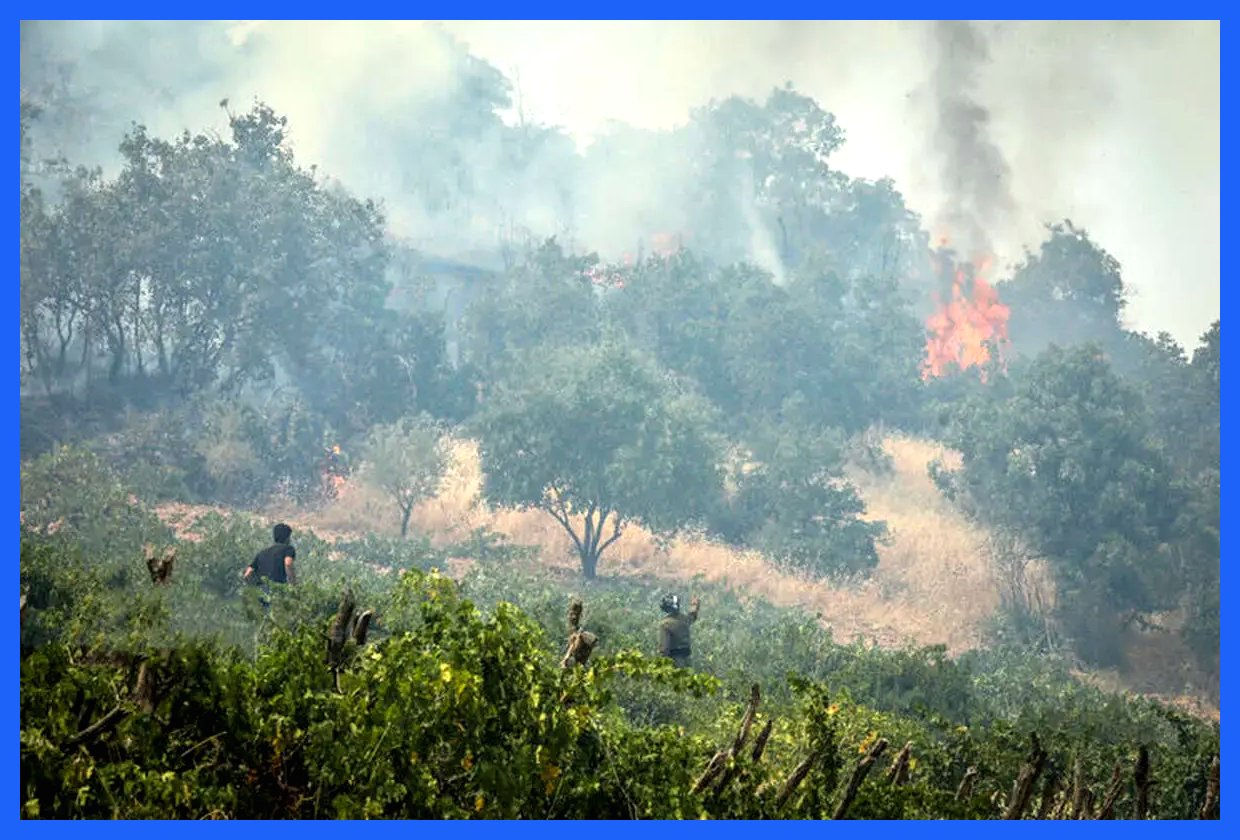 آتش زدن عمدی جنگل‌ها مجازات سنگینی دارد