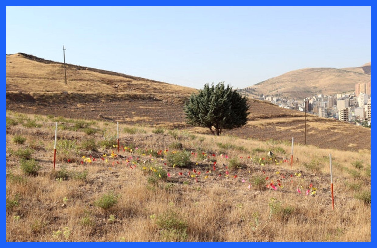 محوطه باستانی کرمانشاه؛ چالش‌ها و چشم‌انداز حفظ یک میراث میلیون ساله