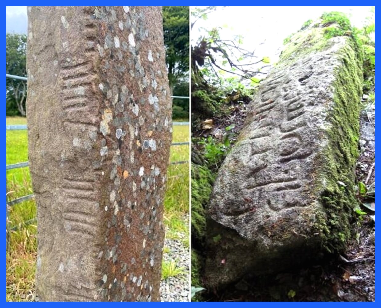 انتشار واژه‌نامه‌ای از یک زبان باستانی