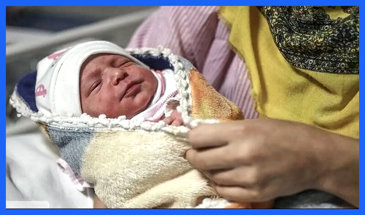 حمایت دولت از مادران: جزئیات اجرای طرح «کارت امید» از ابتدای سال ۱۴۰۵