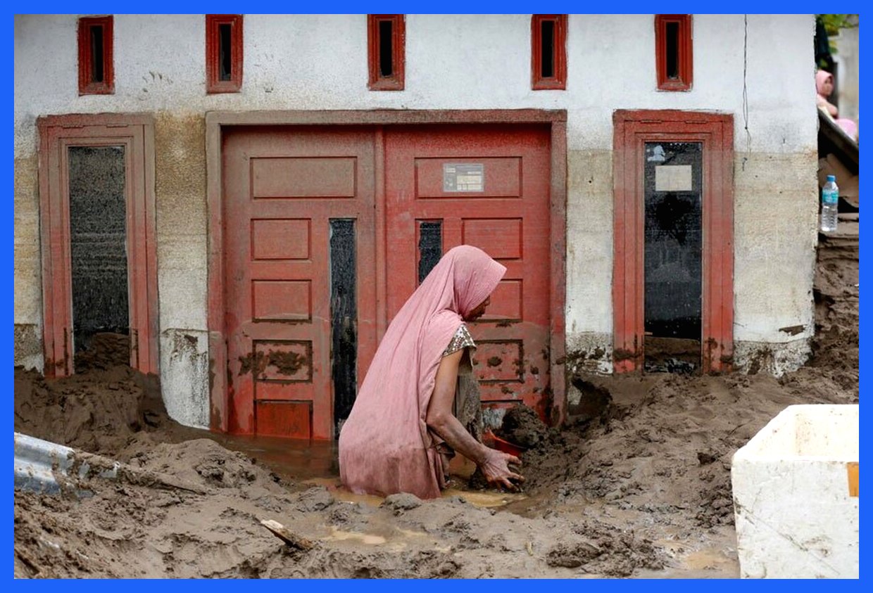 جاذبه‌های امروز: از صف‌های خرید "بلک فرایدی" تا سفر پاپ به ترکیه