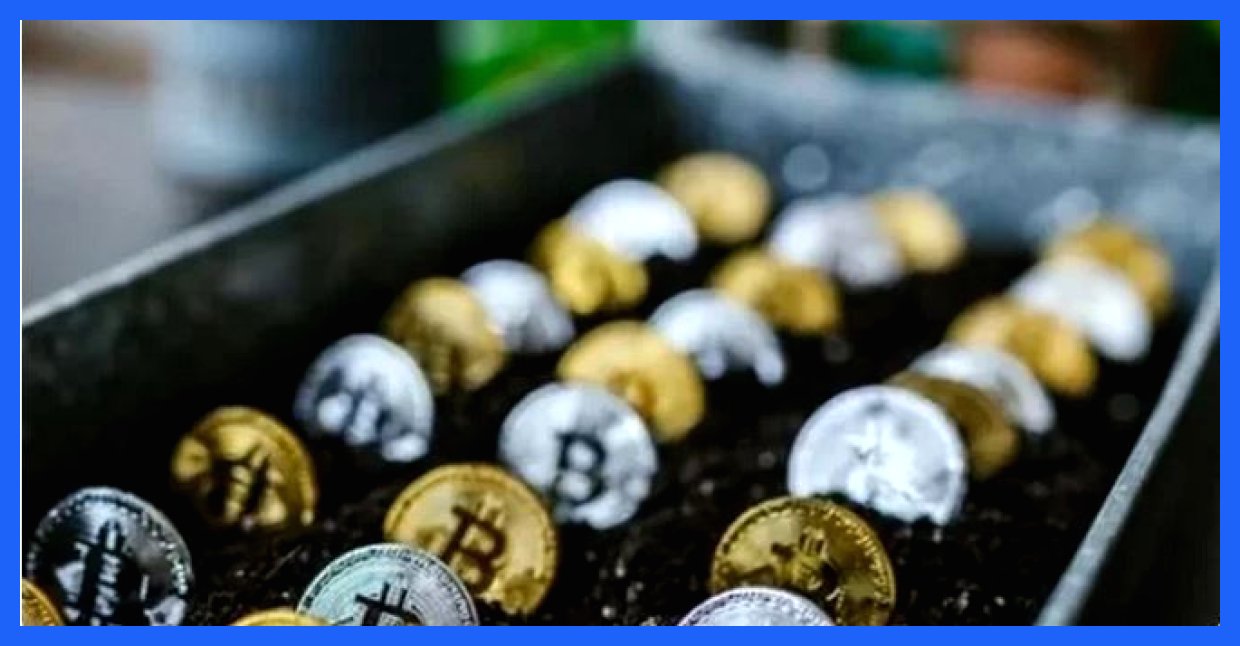 صندوق‌های کریپتویی در راه بورس تهران قرار دارد