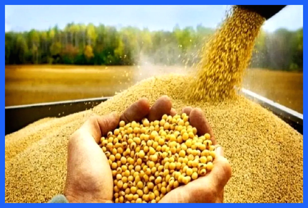 وزیر جهاد کشاورزی: نهاده‌های دامی در حال ترخیص و عرضه به بازار هستند